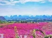 京山花台山景区天气预报：雨热交织，出行需防备