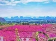 京山花台山景区天气预报：雨热交织，出行需防备