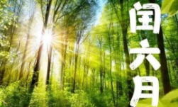 250724192504.png